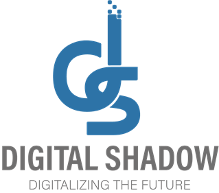 Digital Shadow Information Technology Logo