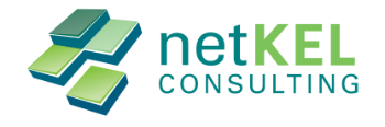KELSOFT SA (Netkel) Logo